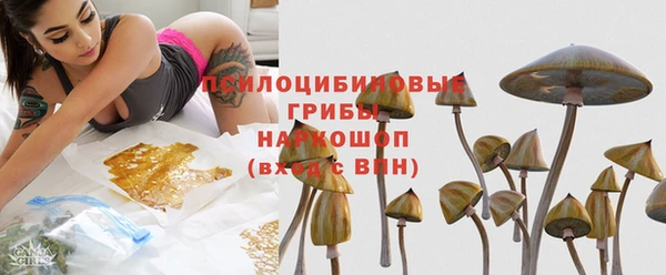 таблы Сосновка