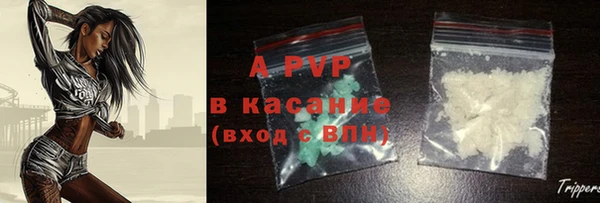 PSILOCYBIN Богданович