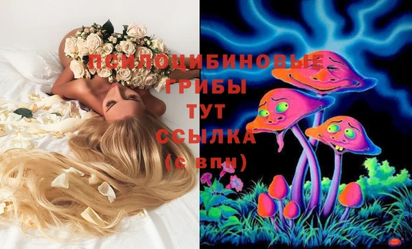 МДМА Беломорск