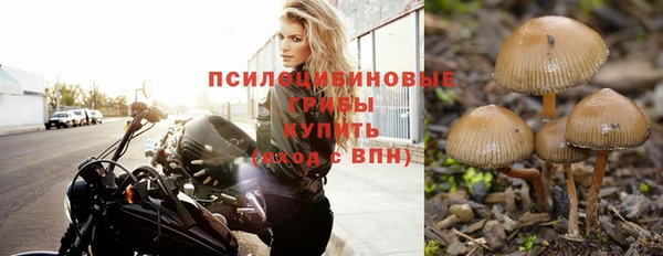 молекула духа Белокуриха